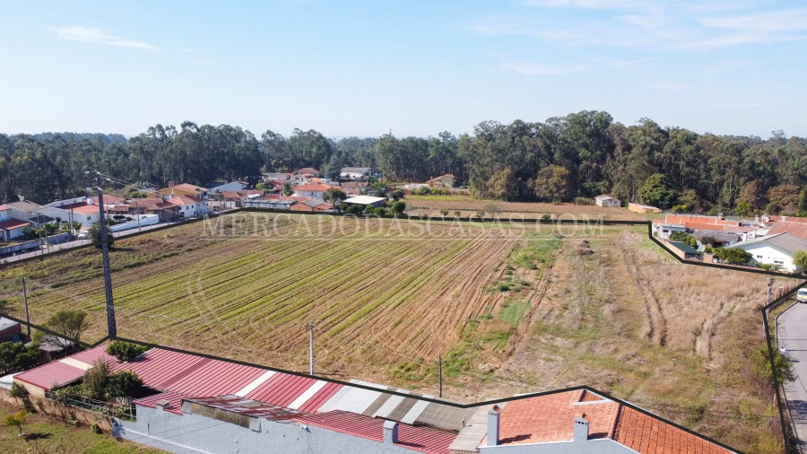 Terreno para Venda em São Miguel do Souto e Mosteirô