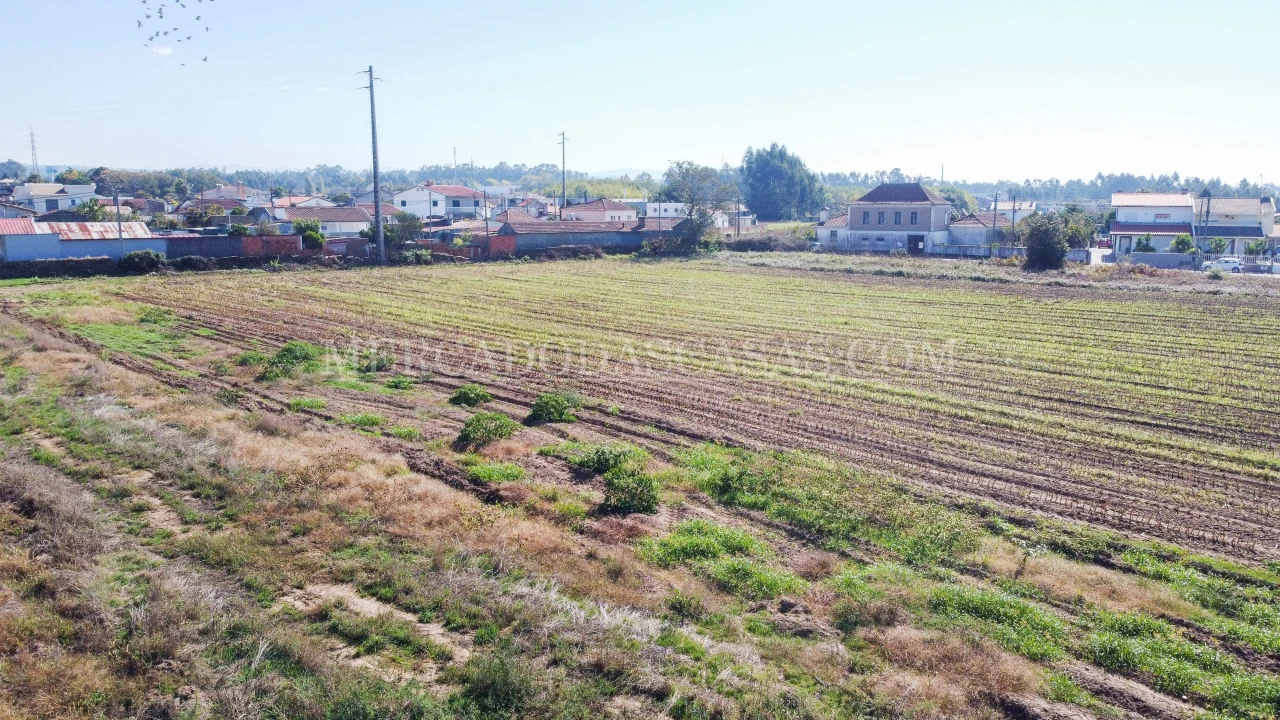 Terreno para Venda em São Miguel do Souto e Mosteirô Foto 3