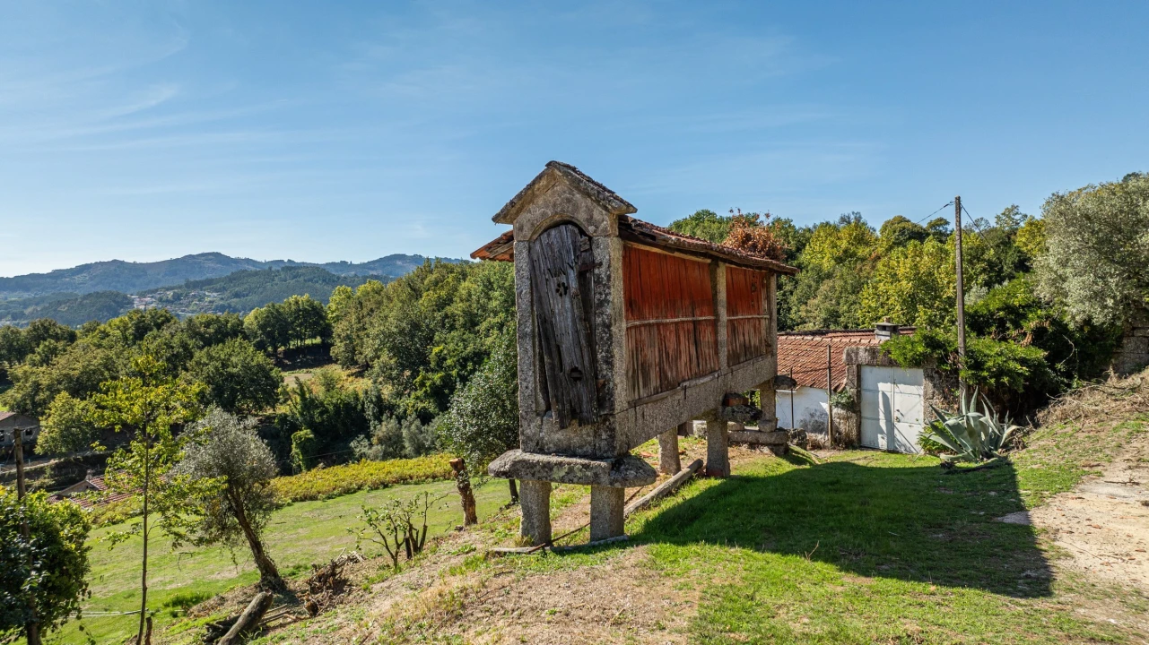 Quinta T7 para Venda em Cantelães Foto 17