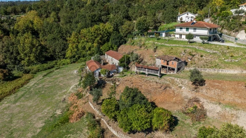 Quinta T7 para Venda em Cantelães