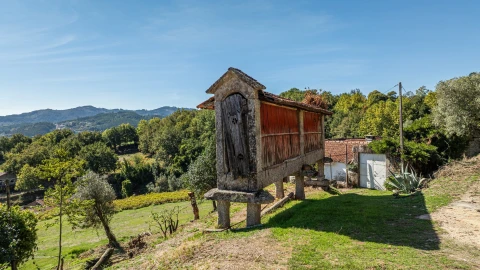 Quinta T7 para Venda em Cantelães