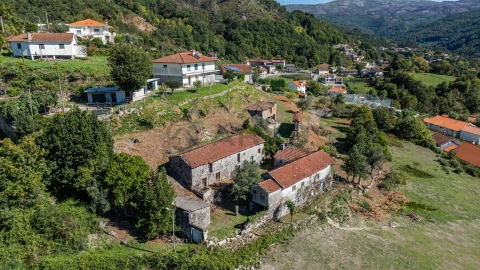 Quinta T7 para Venda em Cantelães