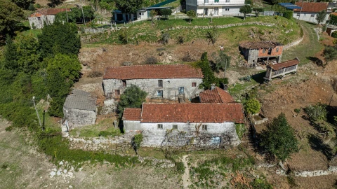 Quinta T7 para Venda em Cantelães