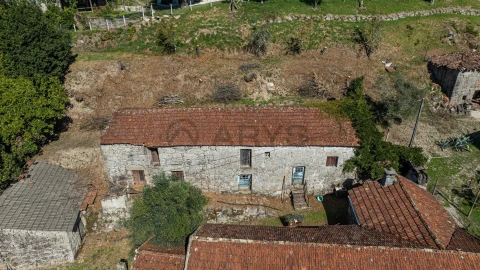 Quinta T7 para Venda em Cantelães