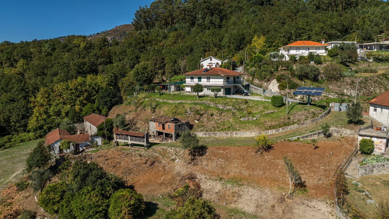 Quinta T7 para Venda em Cantelães Foto 18