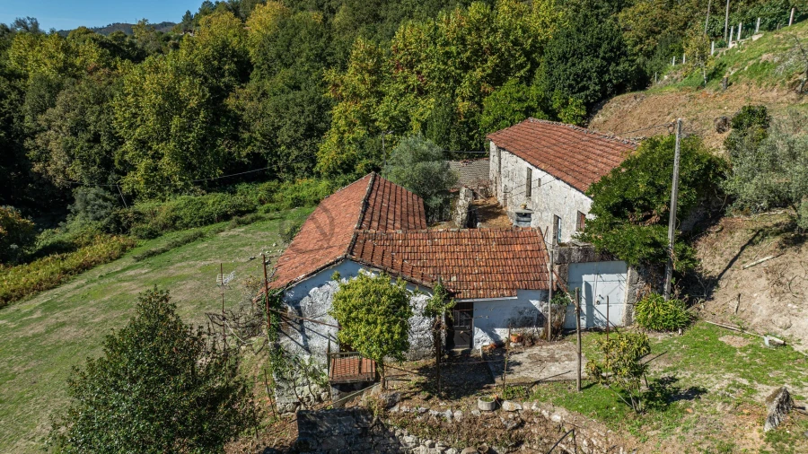 Quinta T7 para Venda em Cantelães Foto 16