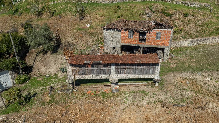 Quinta T7 para Venda em Cantelães Foto 15