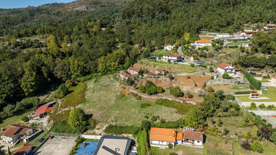 Quinta T7 para Venda em Cantelães Foto 19