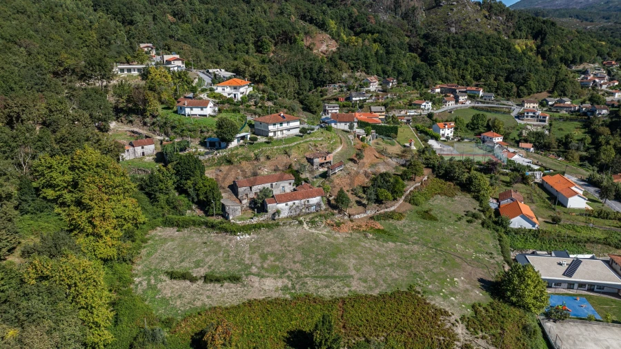 Quinta T7 para Venda em Cantelães Foto 6