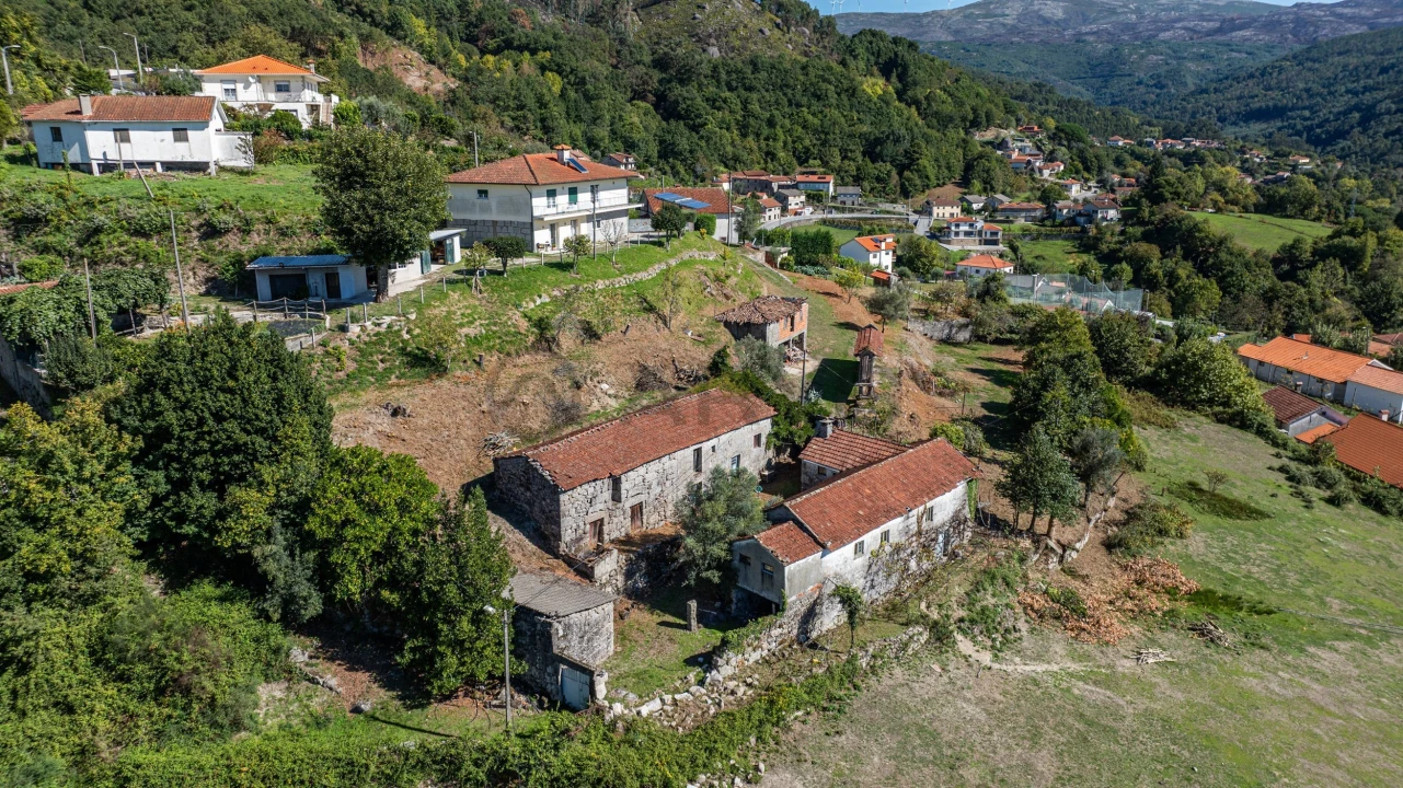 Quinta T7 para Venda em Cantelães Foto 8