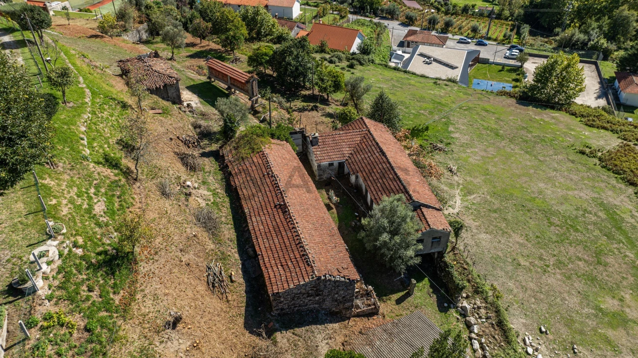 Quinta T7 para Venda em Cantelães Foto 12