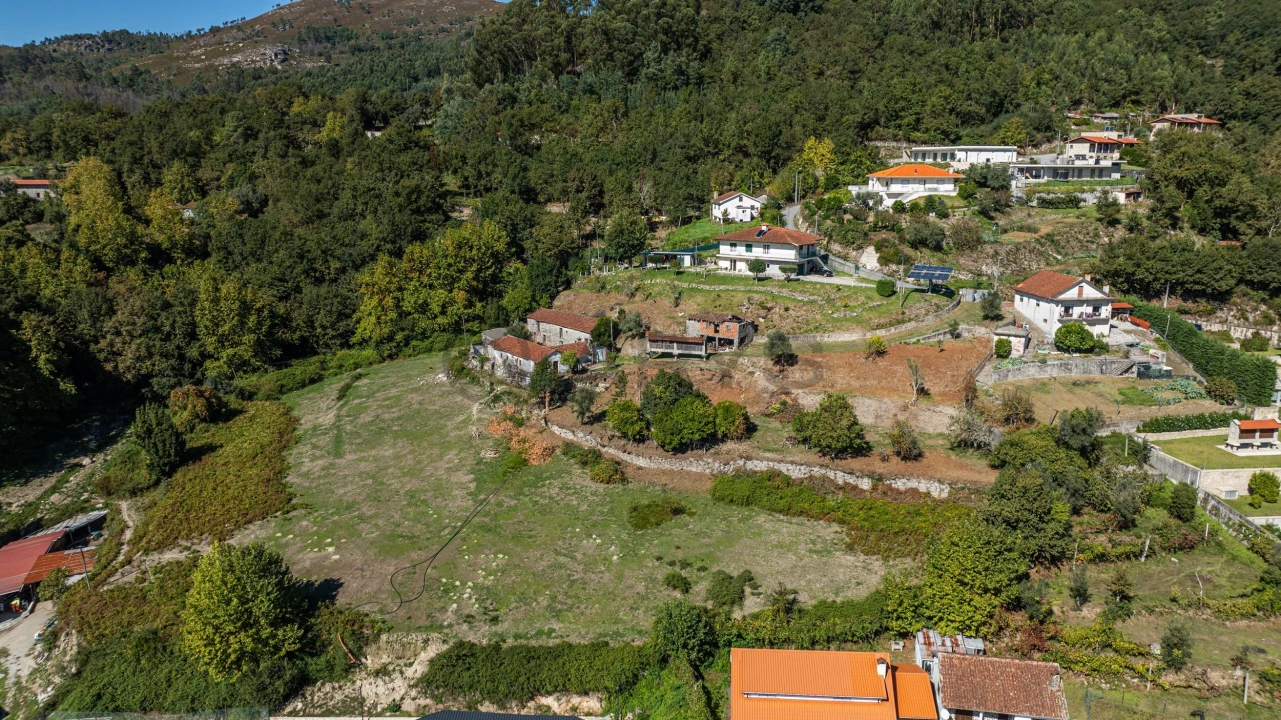 Quinta T7 para Venda em Cantelães Foto 13