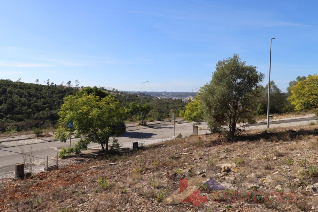 Terreno para Venda em Pombal Foto 6
