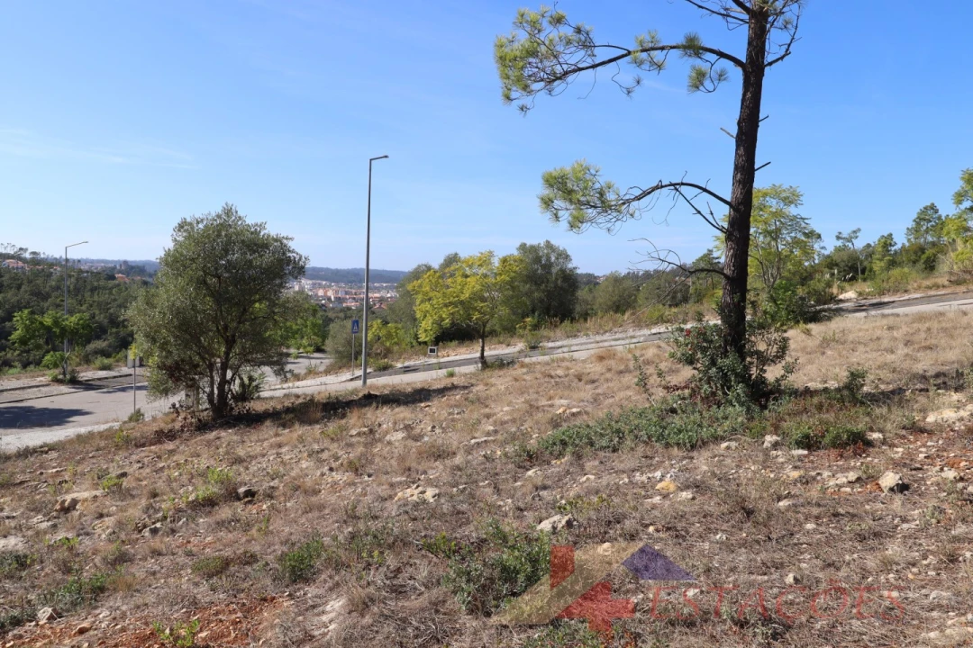 Terreno para Venda em Pombal Foto 10