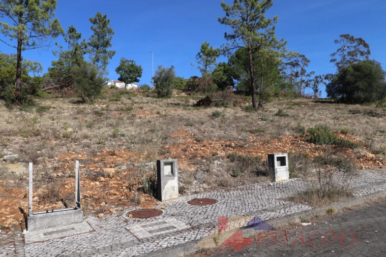 Terreno para Venda em Pombal Foto 3