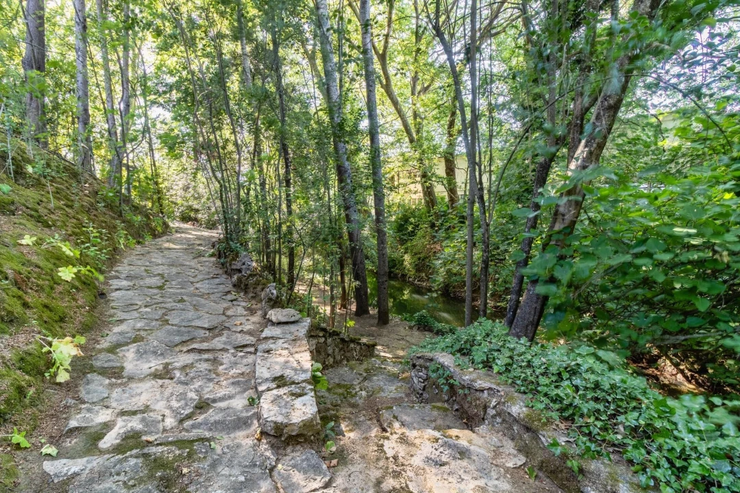 Quinta T6 para Venda em Torres Novas (São Pedro), Lapas e Ribeira Branca Foto 87