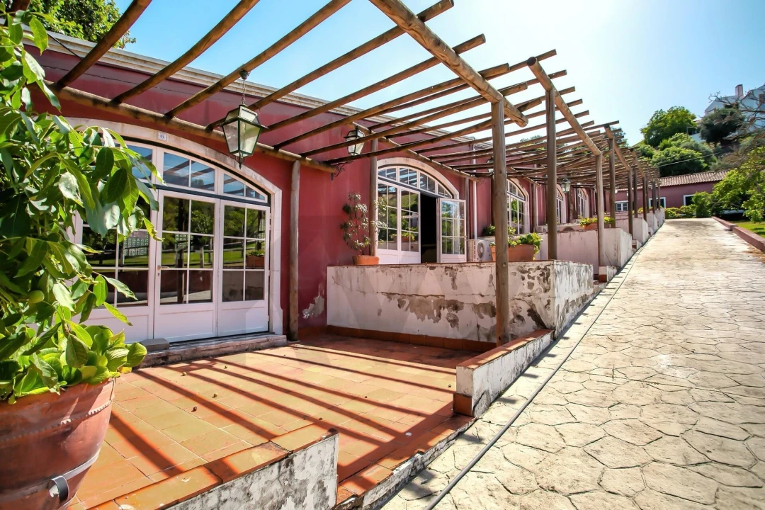 Quinta T6 para Venda em Torres Novas (São Pedro), Lapas e Ribeira Branca Foto 79