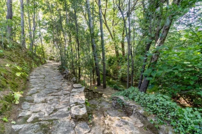 Quinta T6 para Venda em Torres Novas (São Pedro), Lapas e Ribeira Branca