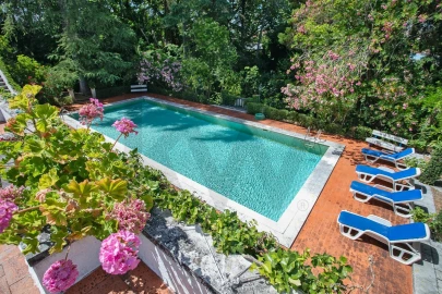 Quinta T6 para Venda em Torres Novas (São Pedro), Lapas e Ribeira Branca