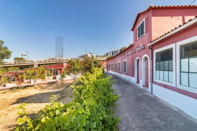 Quinta T6 para Venda em Torres Novas (São Pedro), Lapas e Ribeira Branca
