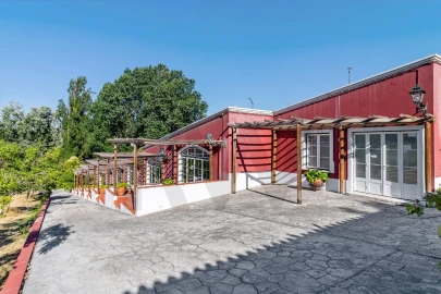 Quinta T6 para Venda em Torres Novas (São Pedro), Lapas e Ribeira Branca