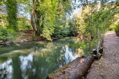 Quinta T6 para Venda em Torres Novas (São Pedro), Lapas e Ribeira Branca