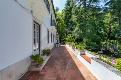 Quinta T6 para Venda em Torres Novas (São Pedro), Lapas e Ribeira Branca
