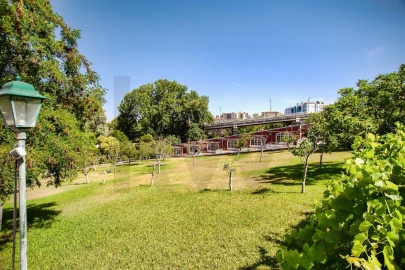 Quinta T6 para Venda em Torres Novas (São Pedro), Lapas e Ribeira Branca