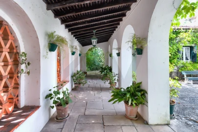 Quinta T6 para Venda em Torres Novas (São Pedro), Lapas e Ribeira Branca