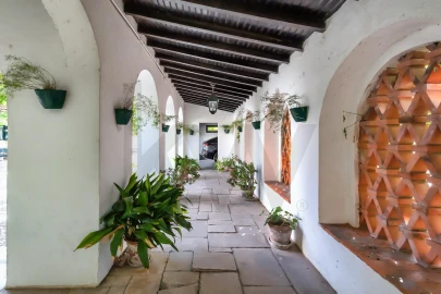 Quinta T6 para Venda em Torres Novas (São Pedro), Lapas e Ribeira Branca