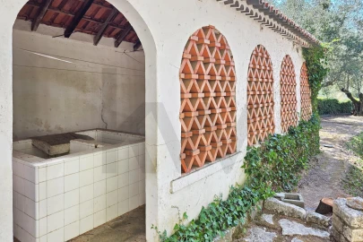 Quinta T6 para Venda em Torres Novas (São Pedro), Lapas e Ribeira Branca