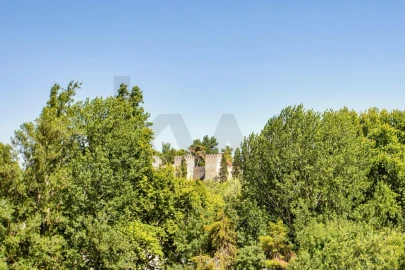 Quinta T6 para Venda em Torres Novas (São Pedro), Lapas e Ribeira Branca