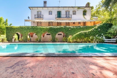 Quinta T6 para Venda em Torres Novas (São Pedro), Lapas e Ribeira Branca