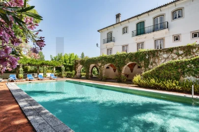 Quinta T6 para Venda em Torres Novas (São Pedro), Lapas e Ribeira Branca