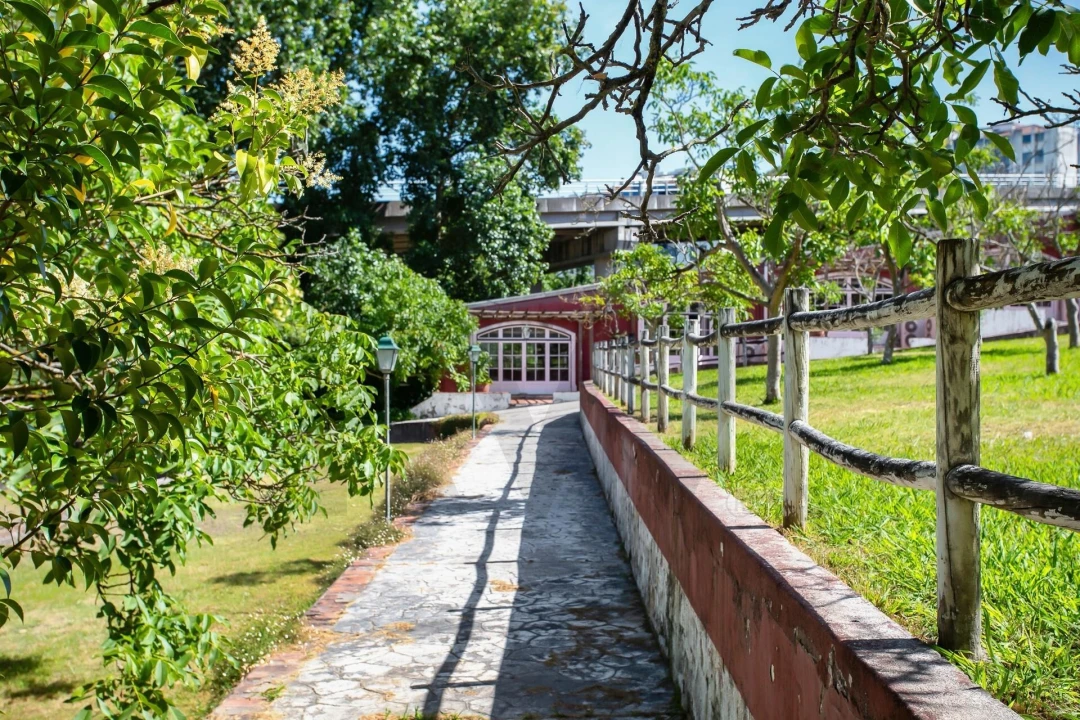 Quinta T6 para Venda em Torres Novas (São Pedro), Lapas e Ribeira Branca Foto 72