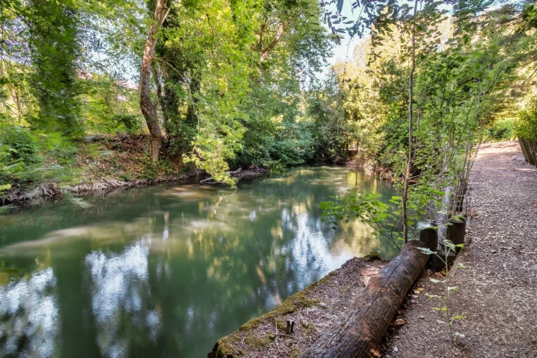 Quinta T6 para Venda em Torres Novas (São Pedro), Lapas e Ribeira Branca Foto 88
