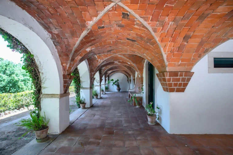 Quinta T6 para Venda em Torres Novas (São Pedro), Lapas e Ribeira Branca Foto 54