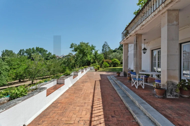 Quinta T6 para Venda em Torres Novas (São Pedro), Lapas e Ribeira Branca Foto 49