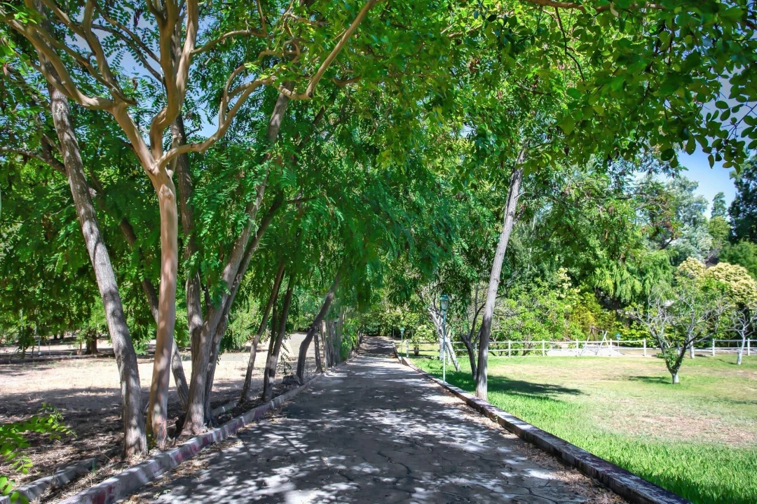 Quinta T6 para Venda em Torres Novas (São Pedro), Lapas e Ribeira Branca Foto 68
