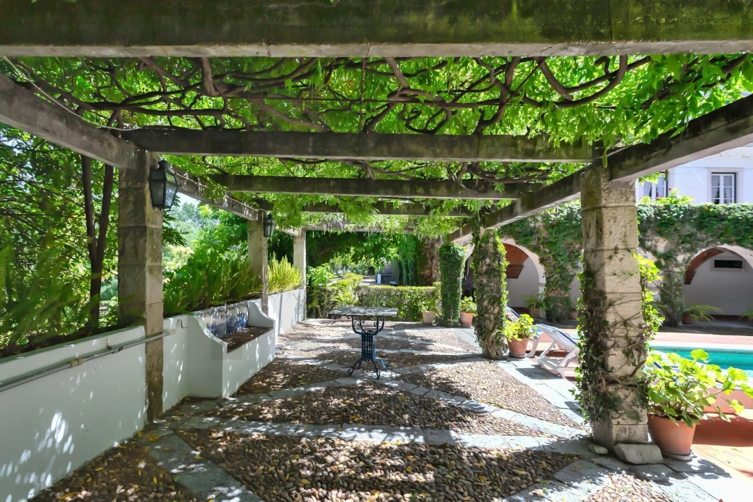 Quinta T6 para Venda em Torres Novas (São Pedro), Lapas e Ribeira Branca Foto 60