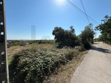 Terreno para Venda em Regueira de Pontes