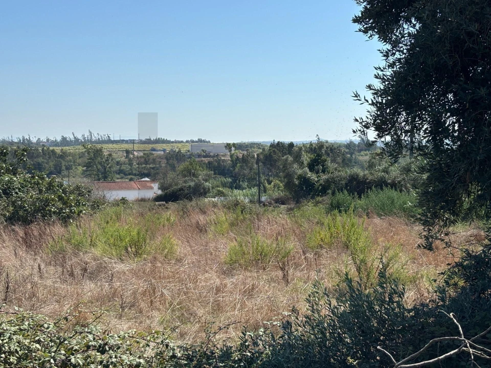 Terreno para Venda em Regueira de Pontes Foto 8