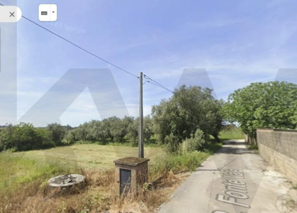 Terreno para Venda em Regueira de Pontes Foto 5