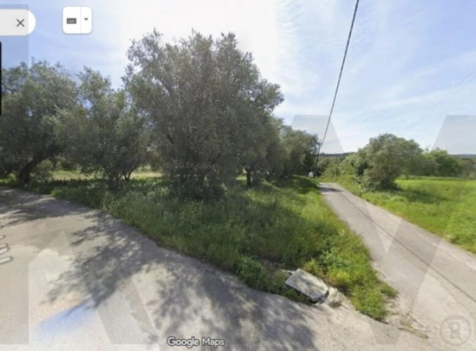 Terreno para Venda em Regueira de Pontes Foto 4