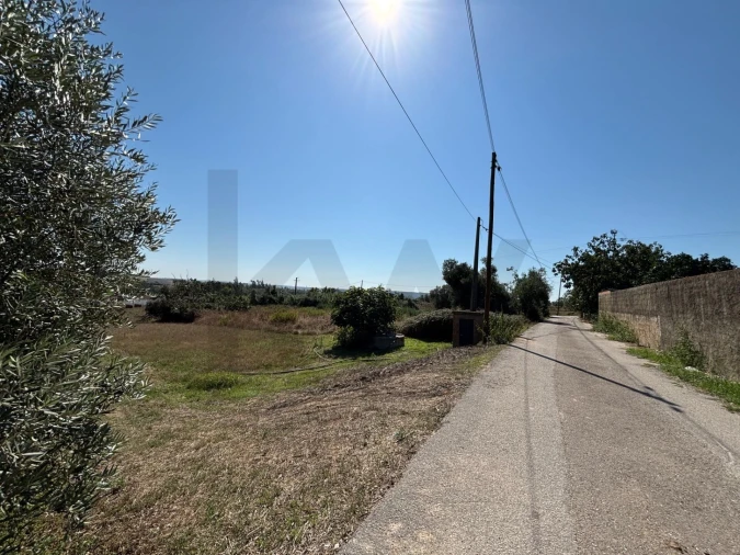 Terreno para Venda em Regueira de Pontes Foto 11