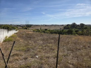 Terreno para Venda em Aveiras de Cima