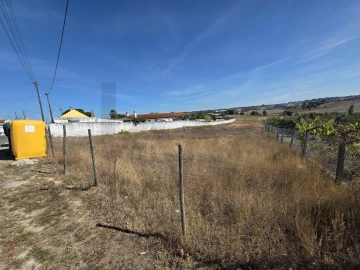 Terreno para Venda em Aveiras de Cima