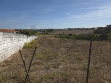 Terreno para Venda em Aveiras de Cima