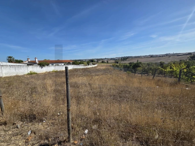 Terreno para Venda em Aveiras de Cima Foto 3