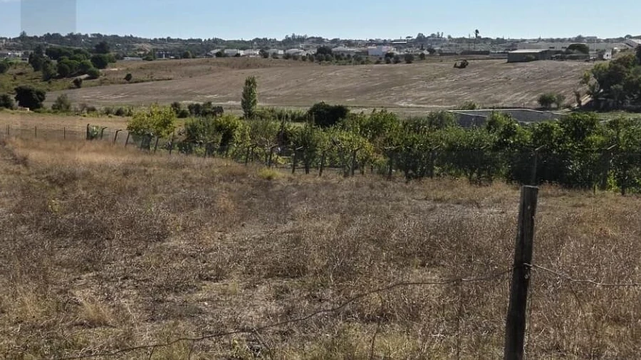 Terreno para Venda em Aveiras de Cima